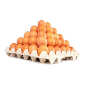 Fresh Eggs B/s (Crate)